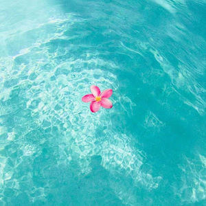 Meet your Posher, Apollonia